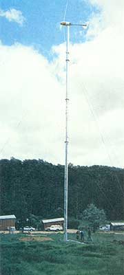 Wind plants mounted on tall towers (in this case, a guyed tilt-up tower) effectively capture the wind's power.